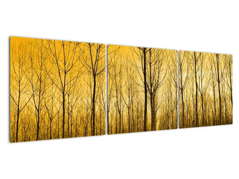 Tani Schilderij - Bos bij zonsondergang