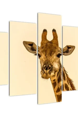 Szybka dostawa Schilderij - Giraf