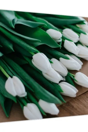 Zamów teraz Schilderij - Bos witte tulpen