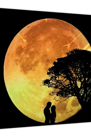 Promocja Schilderij - Schaduwen in het maanlicht