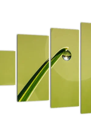 Schilderij - Waterdruppels op het gras Szybka dostawa