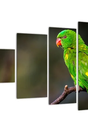 Schilderij - Papagaai op tak Niska cena