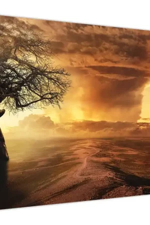 Schilderij - Oranje wolken Niska cena