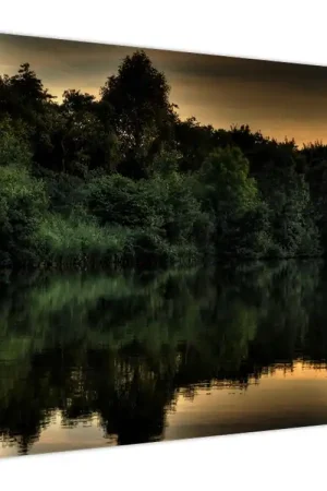 Szybka dostawa Schilderij - Meer aan het bos