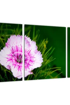 Wyprzedaż Schilderij - Roze bloesem