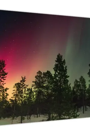 Schilderij - Noorderlicht Wysoka jakość