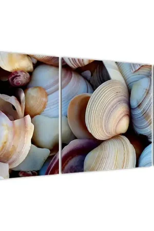 Niska cena Schilderij - Schelpen