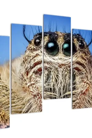 Szybka dostawa Schilderij - Spin, detail