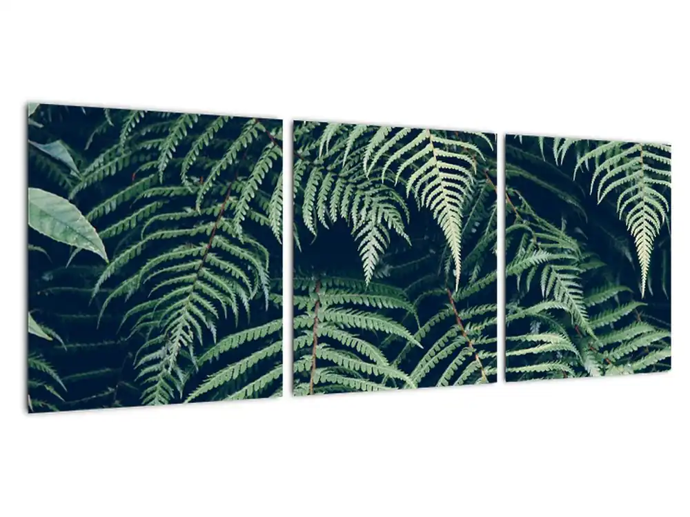 Nowość Schilderij - Bladeren van varens