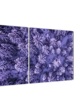 Bezpieczna płatność Schilderij - Besneeuwde bomen