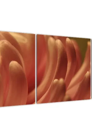 Schilderij - Bloem, detail Popularny