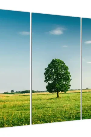 Schilderij - Boom in het weiland Oryginalny