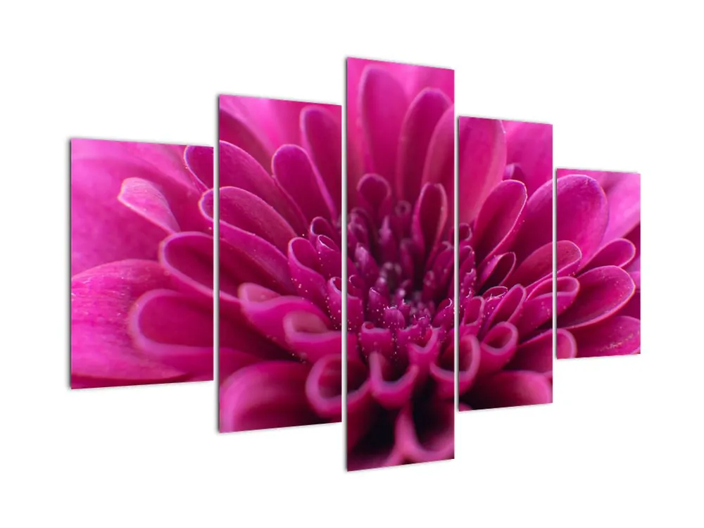 Autentyczny Schilderij - Bloem