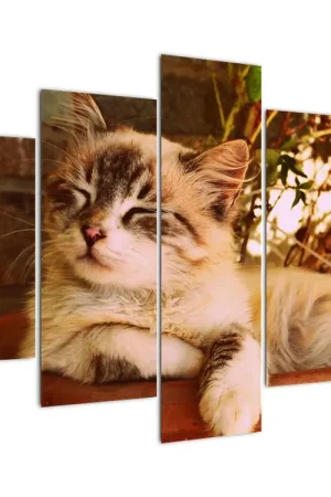 Schilderij - Poes in een bloempot Zwrot pieniędzy