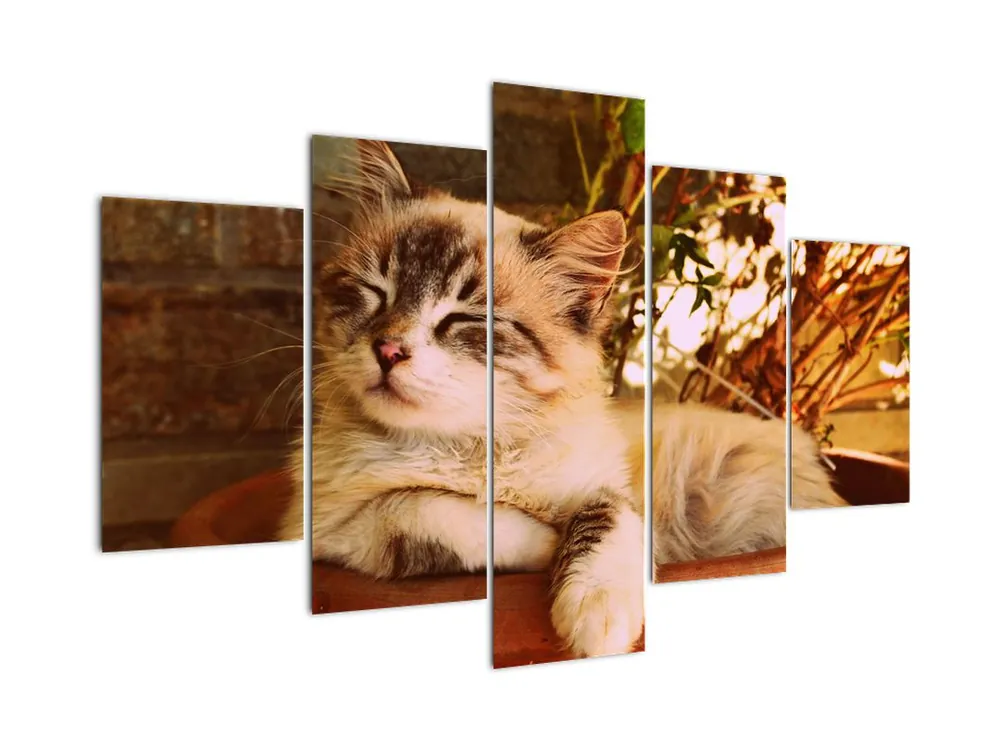 Schilderij - Poes in een bloempot Zwrot pieniędzy