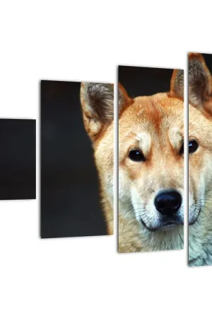 Schilderij - Hond Tylko dziś