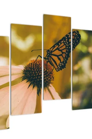 Ekspresowa dostawa Schilderij - Vlinder op bloem