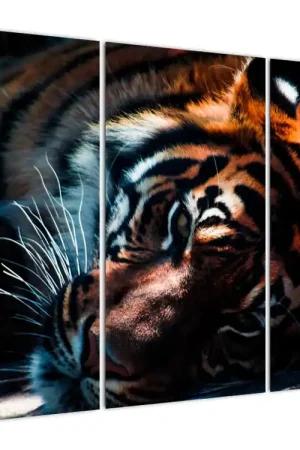 Zwrot pieniędzy Schilderij - Liggende tijger