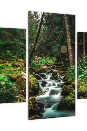 Schilderij - Bosbeek Tylko dziś