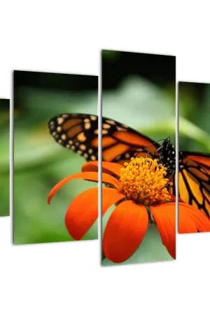 Schilderij - Vlinder op bloem Tylko dziś