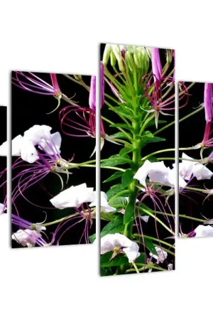 Popularny Schilderij - Bloem