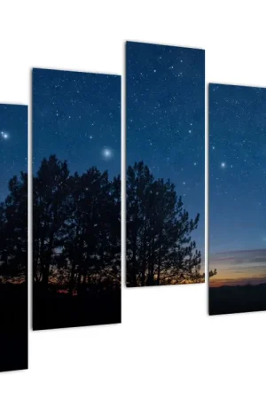 Tylko dziś Schilderij - Bomen bij Nacht