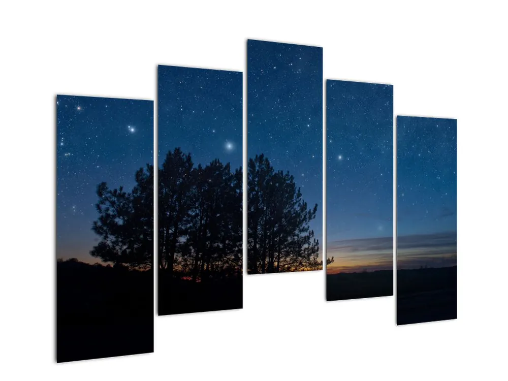 Tylko dziś Schilderij - Bomen bij Nacht