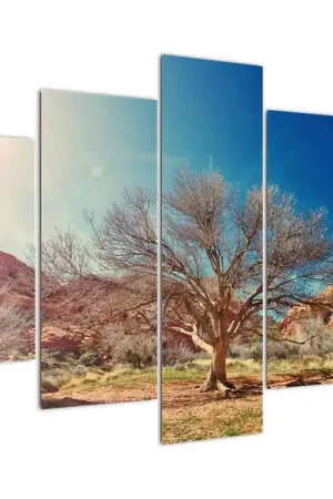Rabat Schilderij - Boom in de woestijn