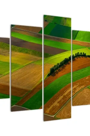 Niska cena Schilderij - Velden en weilanden