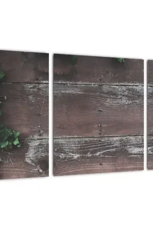 Bezpieczna płatność Schilderij - Klimop