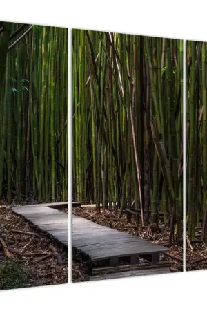 Kup teraz Schilderij - Tussen de bamboe