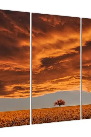 Schilderij - Wolken Promocja