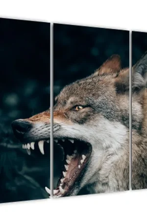 Oferta Schilderij - Wolf