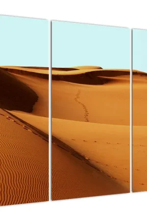 Szybka dostawa Schilderij - Sporen in de woestijn
