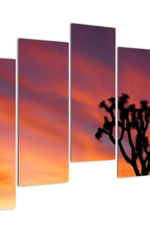 Bezpieczna płatność Schilderij - Zonsondergang en silhouet van een boom