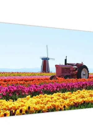 Schilderij - Tulpenboerderij Szybka dostawa