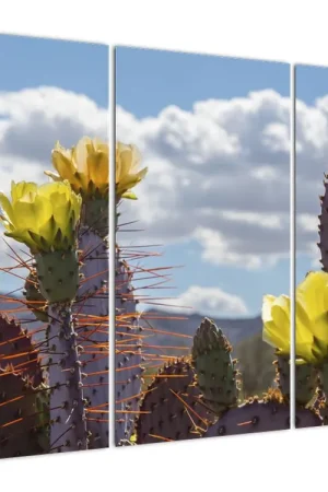 Premium Schilderij - Opuntia