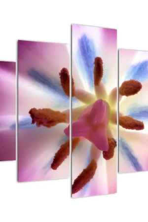 Oferta Schilderij - Tulpenbloesem, detail