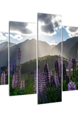 Schilderij - Lupines Wyprzedaż