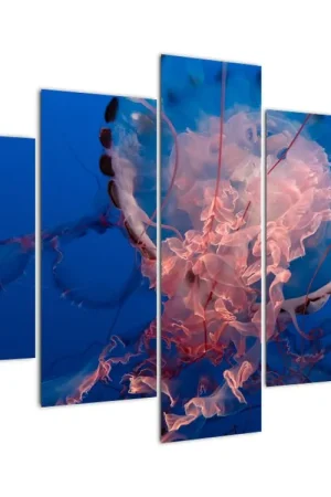 Schilderij - Kwal Szybka dostawa