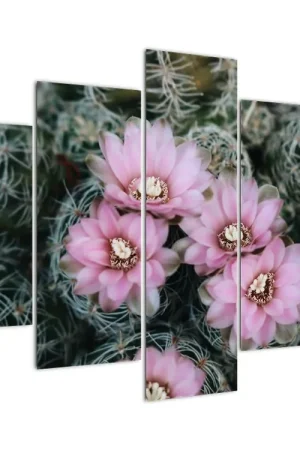 Popularny Schilderij - Cactusbloesem