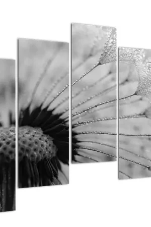 Schilderij - Paardebloem. Zwart-wit Popularny