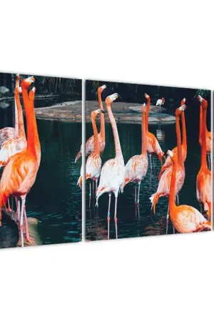 Schilderij - Zwerm flamingo´s Bezpieczna płatność