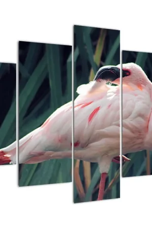 Najlepsza cena Schilderij - Flamingo