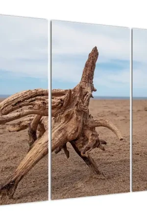 Schilderij - Aangespoeld op strand Wysoka jakość