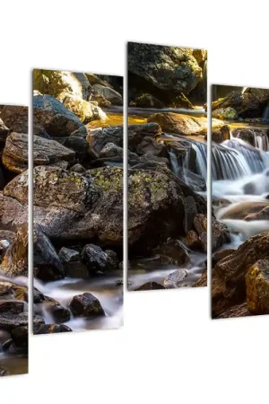 Schilderij - Beek met stenen Premium