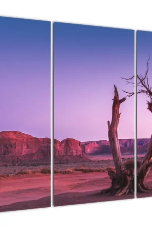 Szybka dostawa Schilderij - Boom bij rode rotsen