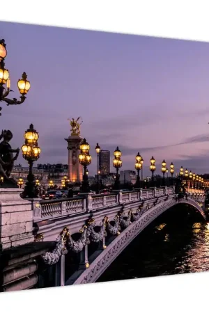 Schilderij - Alexander III Brug, Parijs Premium