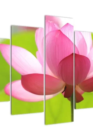 Schilderij - Lotusbloesem Autentyczny