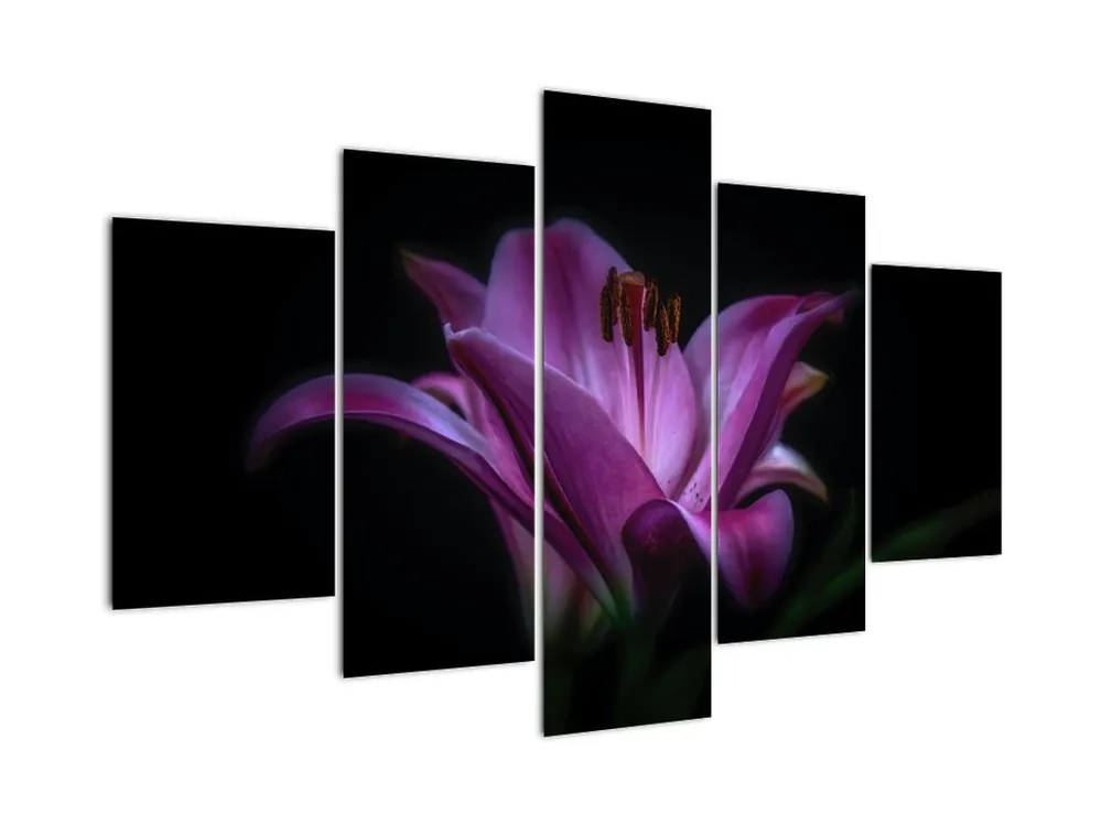 Oferta limitowana Schilderij - Lelie